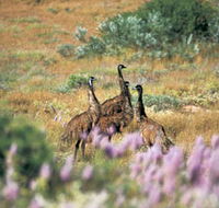 Jurabi Coastal Reserve - Broome Tourism