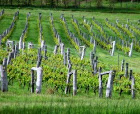 Sienna Estate Winery - Broome Tourism 0