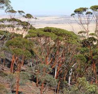 Mount Matilda Walk Trail Wongan Hills - Broome Tourism