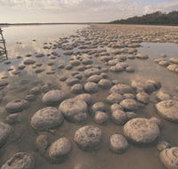Yalgorup National Park - Broome Tourism