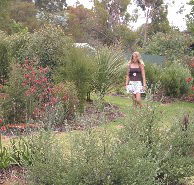 The Mythic Mazes - Broome Tourism