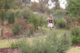 The Mythic Mazes - Broome Tourism 0