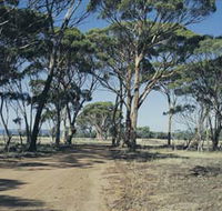 Lake Dumbleyung - Broome Tourism
