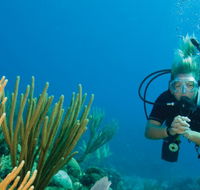 Coastal Water Dive - Broome Tourism