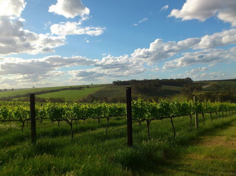 Plantagenet Wines - Broome Tourism 1