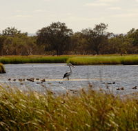 Anytime Adventures in Mandurah  the Peel Region - Broome Tourism