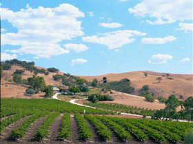 Bethany Wines - Broome Tourism 0