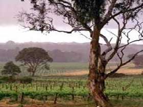  Broome Tourism