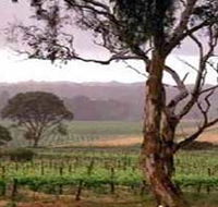 Yangarra Estate Vineyard - Broome Tourism