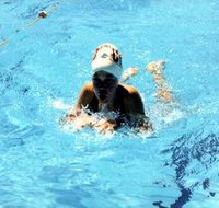 Mount Gambier Aquatic Centre - Broome Tourism