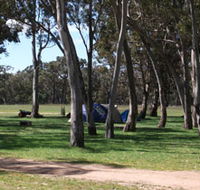 Black Cockatoo Bush Camp - Broome Tourism
