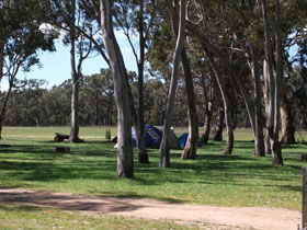 Black Cockatoo Bush Camp - Broome Tourism 0