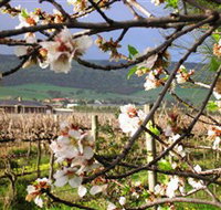 Cradle of Hills McLaren Vale Winery - Broome Tourism