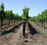 Temple Bruer Winery - Broome Tourism