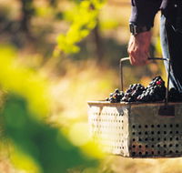 Burge Family Winemakers - Broome Tourism