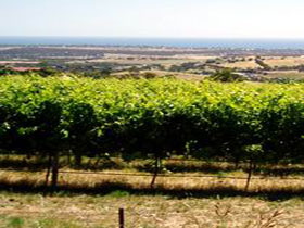 Braydun Hill Vineyard - Broome Tourism 0