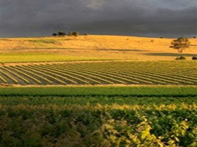 Kellermeister Wines - Broome Tourism 0