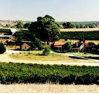 Irvine Wines - Broome Tourism