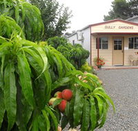Gully Gardens - Broome Tourism