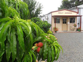 Gully Gardens - Broome Tourism 0