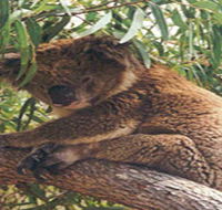 Mikkira Station - Broome Tourism
