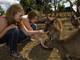 Seddon SA Broome Tourism