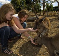 Kangaroo Island Wildlife Park - Broome Tourism