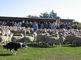 Curringa Farm - Accommodation And Farm Tours - Broome Tourism 0