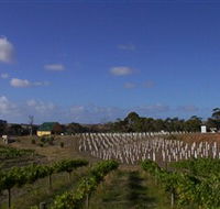 Deep Creek Wines and Alpacas - Broome Tourism