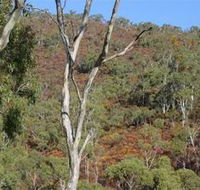 Black Hill Conservation Park - Broome Tourism