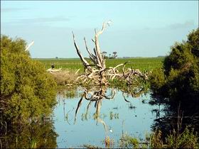 Bool Lagoon Game Reserve And Hacks Lagoon Conservation Park - Broome Tourism 0