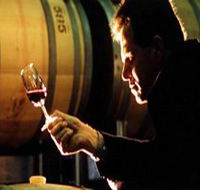 Salena Estate Wines - Broome Tourism