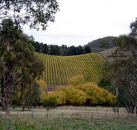 Mt Bera Vineyards - Broome Tourism