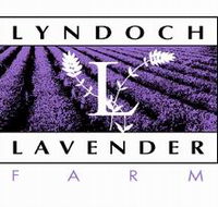 Lyndoch Lavender Farm and Cafe - Broome Tourism