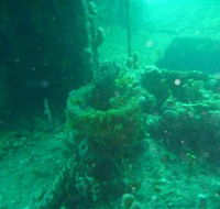 Wallaroo Scuba Club - Broome Tourism