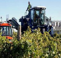 Ballast Stone Estate Wines Pty Ltd - Broome Tourism