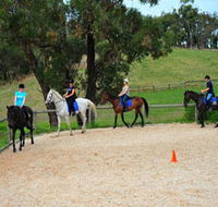 Megan Jones Riding School and Trail Rides - Broome Tourism