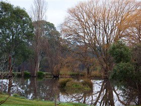 Gemtree Wetlands Ecotrail - Broome Tourism 0