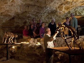 Naracoorte Caves National Park - Broome Tourism 0