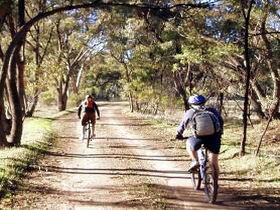 Bike About Mountain Bike Tours And Hire - Broome Tourism 0