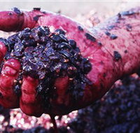 Rusden Wines - Broome Tourism