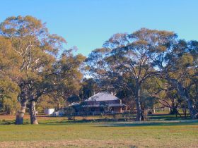 Wilpena Pound SA Broome Tourism