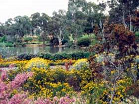 Wittunga Botanic Garden - Broome Tourism 0