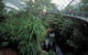 Bicentennial Conservatory - thumb 0