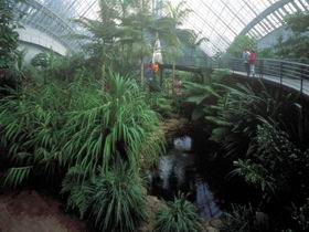 Bicentennial Conservatory - Broome Tourism 0