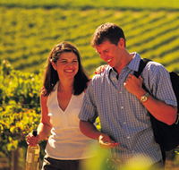 Lady Bay Vineyard - Broome Tourism