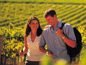 Lady Bay Vineyard - Broome Tourism 0