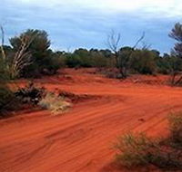 Tallaringa Conservation Park - Broome Tourism