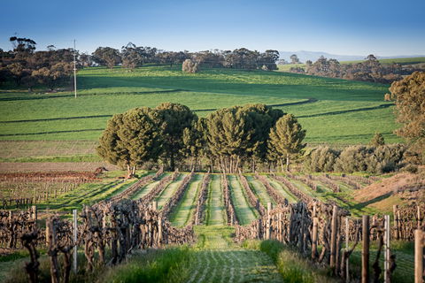 Heritage Wines - Broome Tourism 1