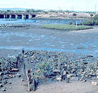 Jervois Basin Ships' Graveyard - Broome Tourism
